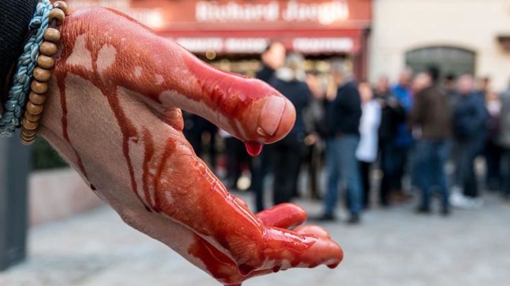 Action le 3 novembre sur la place de la Victoire à Sélestat, en Alsace, devant une boucherie-charcuterie. © Page Facebook 269 Life France